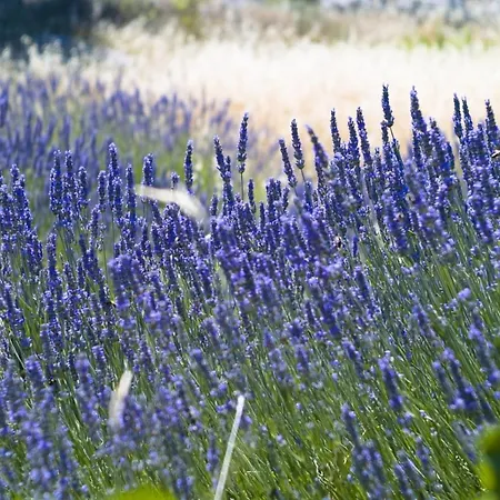 In Hvar With Sea View, Balcony, Air Conditioning, Wi-fi 3*