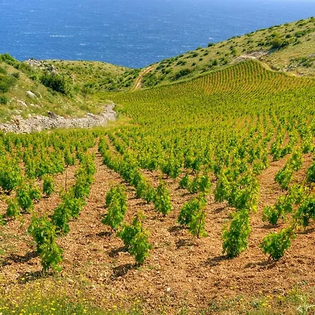 In Hvar With Sea View, Balcony, Air Conditioning, Wi-fi