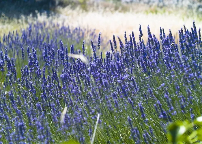 In Hvar With Sea View, Balcony, Air Conditioning, Wi-fi 3*