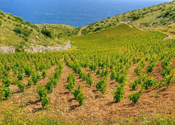In Hvar With Sea View, Balcony, Air Conditioning, Wi-fi